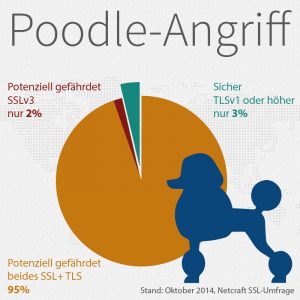 Poodle-Angriff
