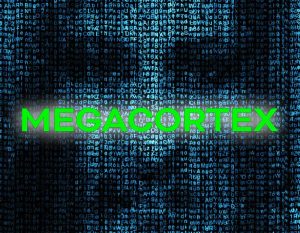 megacortex